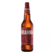 BRAHMA DUPLO MALTE 600 ml